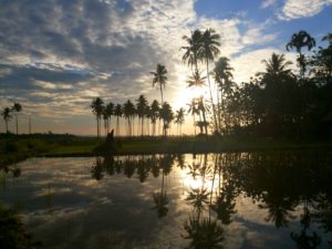 Senjakala Sawah Landono