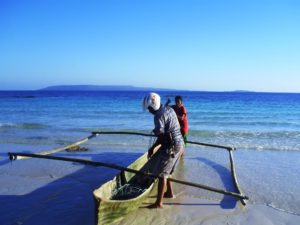 Tradisi Lepas Penyu dan Lobster di Wakatobi