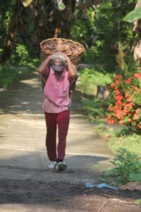 Menjejak Negeri Kelapa