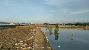 Problem Sampah dan Dampak Reklamasi Teluk Kendari