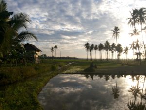 Ini Kampung Ikan Air Tawar di Konda