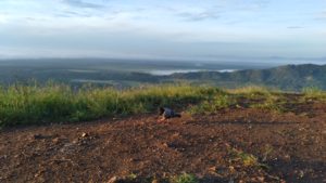 Misteri merpati Sebatangkara di Puncak Ahuawali