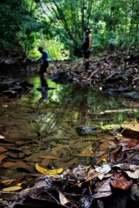 Setali Tiga Uang Nasib Teluk Kendari dan Kawasan Tahura Nipanipa