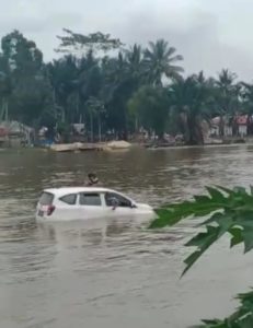 Rem Blong Saat Naik Pincara, Mobil Masuk Sungai