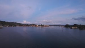 Fenomena Ubur-ubur di Perairan Teluk Kendari