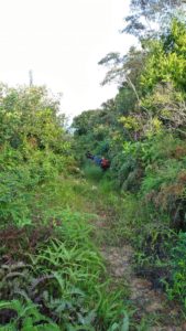 Waktu Terbaik Mencapai Puncak Gunung