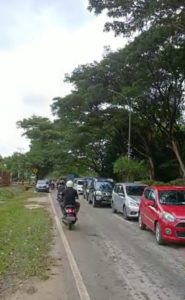 Pohon Tumbang di Jalan Raya Sebabkan Kemacetan Parah