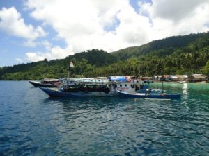 Usaha Konservasi Teluk Kolono