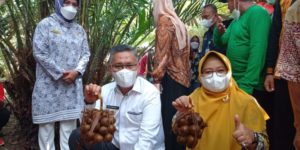 Wali Kota Kendari Serahkan Sarana dan Prasarana Pertanian