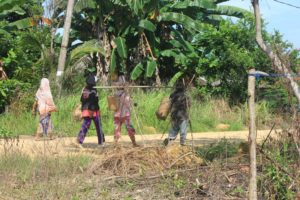 Kisah dari Wungkolo, Desa Para Pencari Rotan