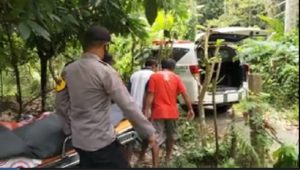 Seorang Warga di Kolaka Tewas Tertimpa Pohon