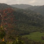 lambusango