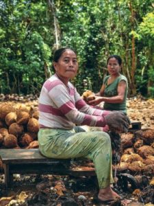 Warga Mulai Ramai Membuat Minyak Kelapa