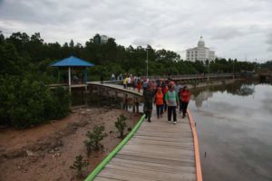 Sebaiknya Pemkot Fokus pada  Pengelolaan Pariwisata Mangrove