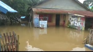Dua Kecamatan di Kolaka Terendam Banjir