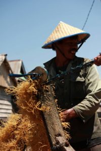 Kisah Perlawanan Petani Rumput Laut Torobulu Menghadapi Perusahaan Tambang