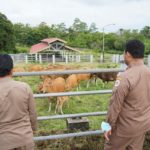 IMG 20220523 WA0022 1