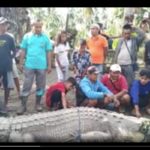 IMG 20220625 WA0011