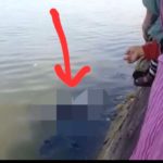 IMG 20220727 WA0005
