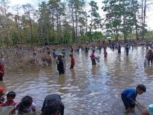 Moncuwaa, Tradisi Menangkap Ikan di Muna yang Ramah Lingkungan