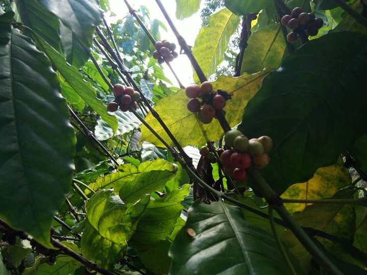 FB IMG 1666258550266