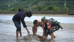 Aksi Heroik Babinsa Koramil 1412-03/Lasusua Selamatkan Dua Ekor Penyu di Pesisir Pantai