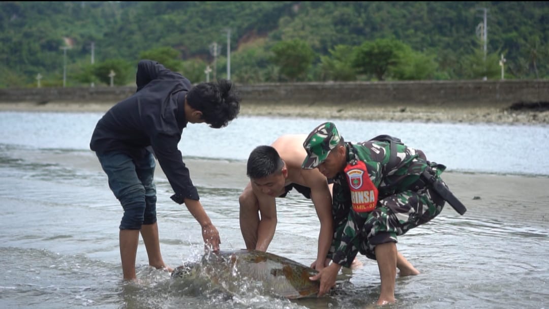 IMG 20221018 WA0025