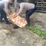 IMG 20221205 WA0014