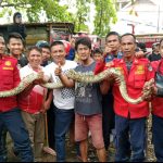 IMG 20230301 WA0018
