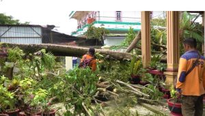 Pasca Diterpa Cuaca Ekstrem, Pemkot Kendari Bergerak Cepat Benahi Kota