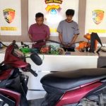 IMG 20230314 WA0029