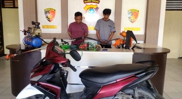 IMG 20230314 WA0029