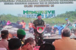Pemkot Ikuti Program Penanaman Mangrove Nasional