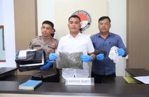 Pemuda di Kendari Diciduk Polisi Saat Hendak Ambil Paket Ganja Seberat 316 Gram