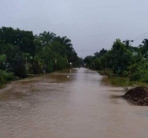 Banjir di Aceh Tenggara Bukti Kerusakan Hutan Semakin Masif