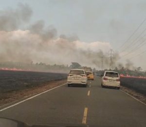 Kemarau Panjang Picu Kebakaran di Kawasan Savana Taman Nasional Rawa Aopa Watumohai Sulawesi Tenggara