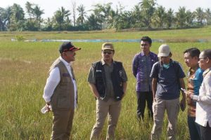 BPBD Sultra Bakal Bangun Puluhan Sumur Bor di Bou