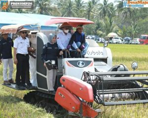 Di Tengah Ancaman El Nino, Pemkab Konawe Selatan Panen Raya Padi Sawah di Kecamatan Buke