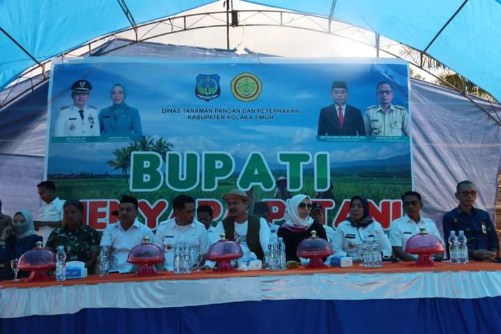 FB IMG 1700718881575