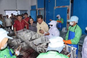 Gudang Beku Portable Jamin Stok Ikan di Masa Paceklik