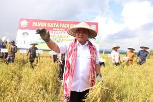 Panen Raya Padi Sawah, Ini Pesan Pj Gubernur Sulawesi Tenggara