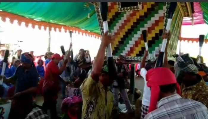 Pesta Panen Mewusoi: Tradisi Lestari Masyarakat Kampung Ada Hukaea Laea