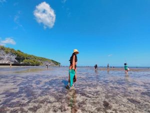 Tradisi Pindokoa: Berburu Ikan Beramai-Ramai di Pesisir Pantai