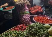 Hoax, Harga Tomat, Jahe dan Beras Pulut Putih Terkendali di Baubau