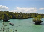 Lohia, Sulawesi Tenggara: Alternatif Tempat Menyelam Bareng Ubur-Ubur