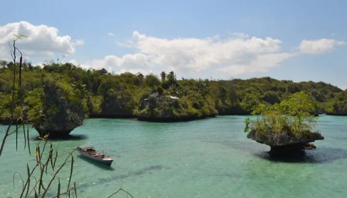Lohia, Sulawesi Tenggara: Alternatif Tempat Menyelam Bareng Ubur-Ubur