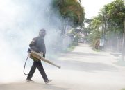 Fogging Sasar Kelurahan di Kota Kendari
