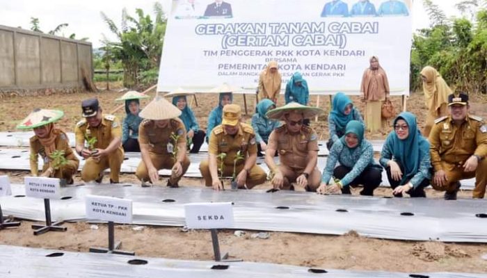 Gerakan Menanam Cabai, Bersama TP PKK Kota Kendari