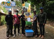 Pentingnya Pelestarian Kukang Jawa, Satwa Dilindungi yang Berasal dari Habitat Hutan