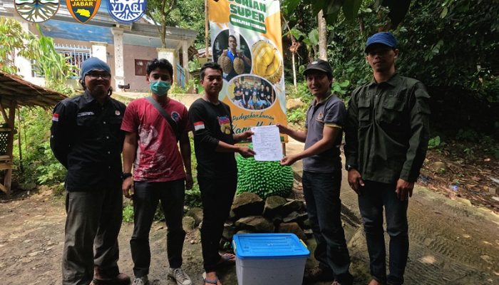 Pentingnya Pelestarian Kukang Jawa, Satwa Dilindungi yang Berasal dari Habitat Hutan